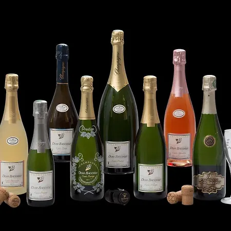 Bed & Breakfast Domaine Bacchus Reuil-sur-Marne