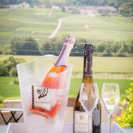 Domaine Bacchus فندق مبيت وإفطار Reuil-sur-Marne