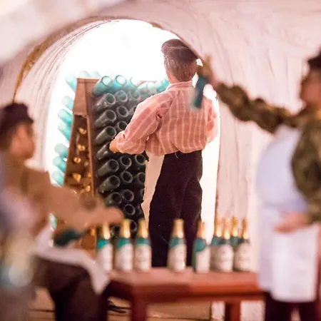 Nocleg ze śniadaniem Domaine Bacchus Reuil-sur-Marne