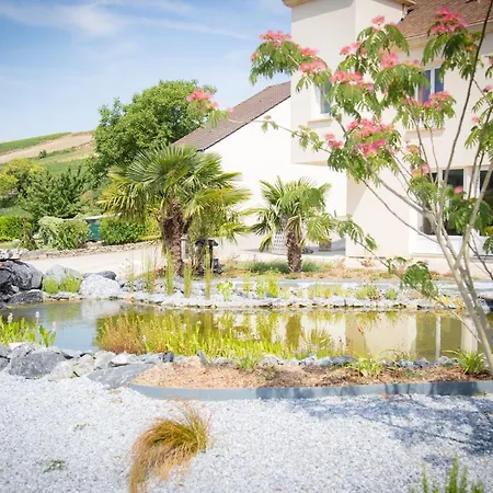 Bed & Breakfast Domaine Bacchus Reuil-sur-Marne