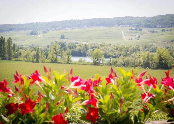 Domaine Bacchus Couette-café *